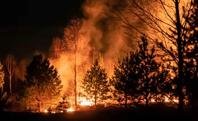 Climate change provokes huge spike in global wildfires As climate change is rapidly increasing, the warmer and drier conditions make the growing danger of wildfires a common occurrence.