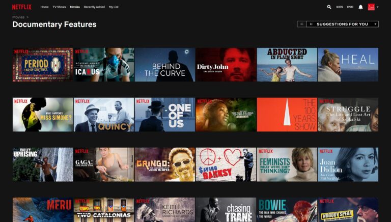 The lack of well-represented information in documentaries Questioning and analyzing the “facts” in some of Netflix’s most popular docuseries.