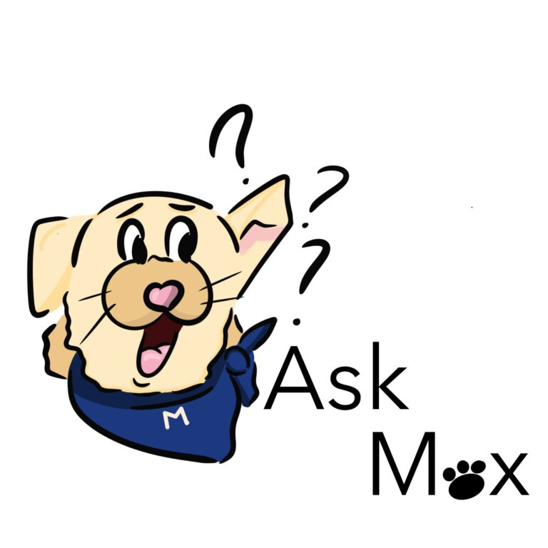 Ask Max: An introdogtion