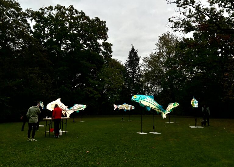 Biiskaabe Zaa’emaanag (Return of the Salmon): A reflection on the sanctity of land and tradition The collaborative art installation honoured community arts, Indigenous cultures, and the resurgence of salmon in Toronto's waters. 