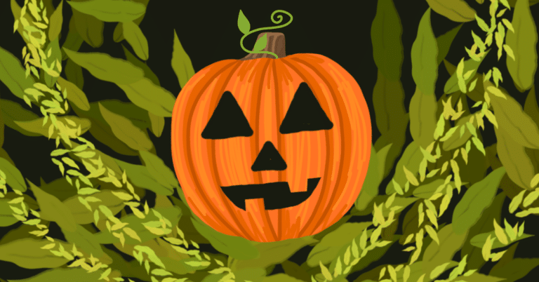 From ghastly waste to green treats: A sustainable Halloween guide  The environmental horror story of Halloween and what can be done to celebrate sustainably. 