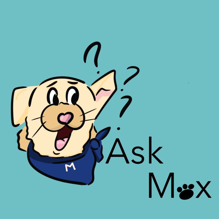 Ask Max: Pawfect places to be on campus