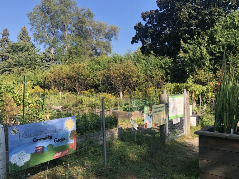 Urban gardens are lush spaces of radical change With a history of empowering marginalized communities, gardening in the city is a way to build solidarity with our bodies, neighbours, and extended communities.