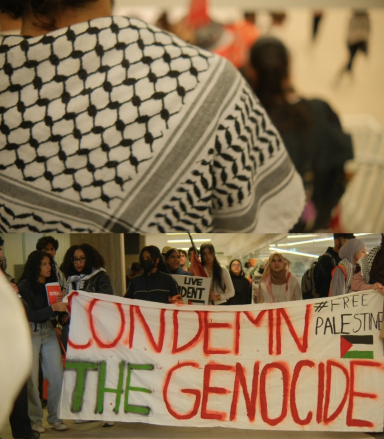 UTMSU holds Palestine Week, urges U of T to end partnership with Hebrew University